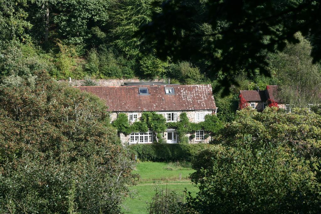 The Bark House Hotel Tiverton  Exterior photo
