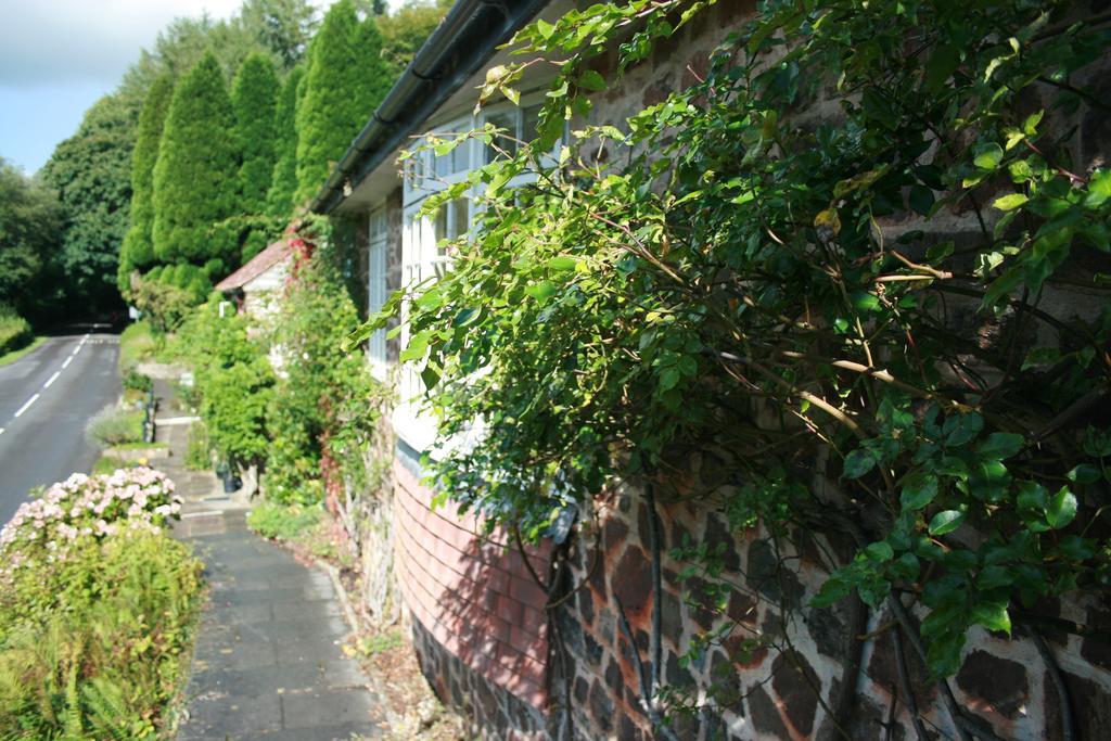 The Bark House Hotel Tiverton  Exterior photo